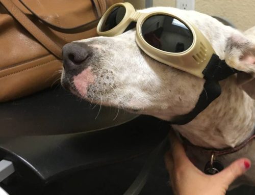Cold Laser Therapy