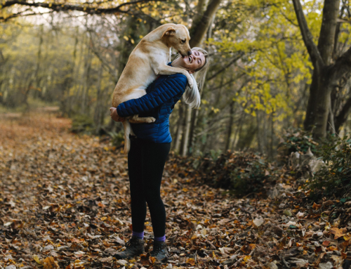 Get Out That Leash!